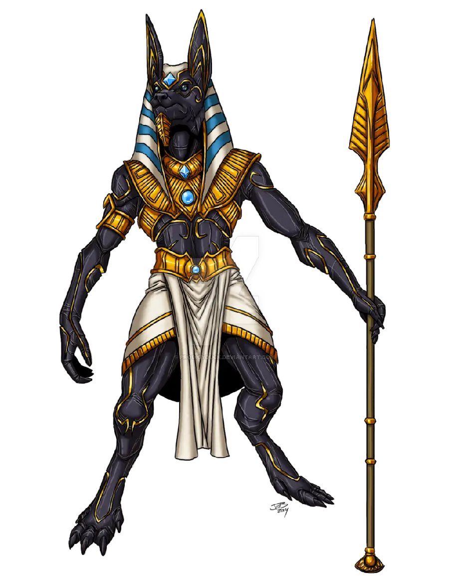 The most interesting background images of jackals in the widely used PNG format