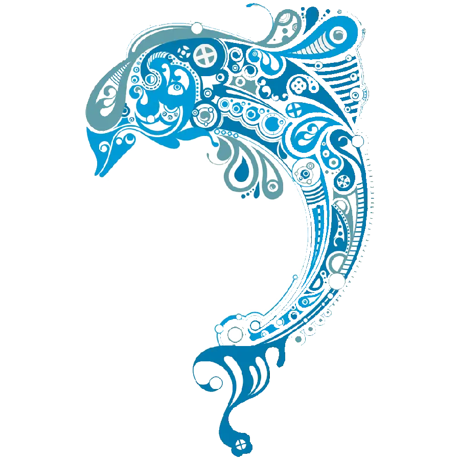 Dolphin PNG images for professional designs