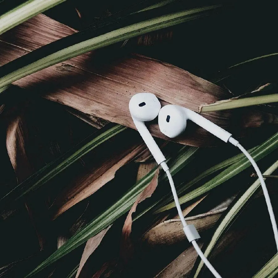 Headphones