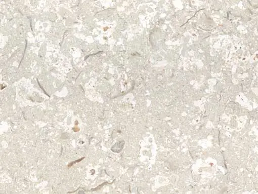 Isfahan Cotton Flower Marble