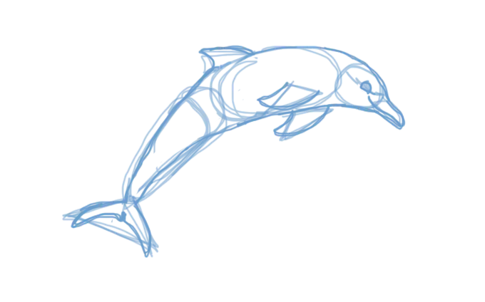 Dolphin PNG Without Background for Your Projects