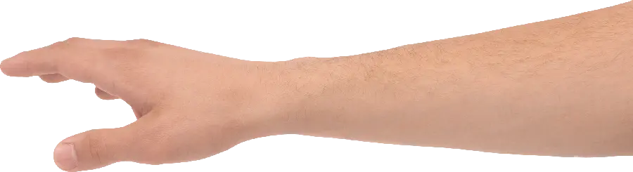 Free Download Male Hand Photo