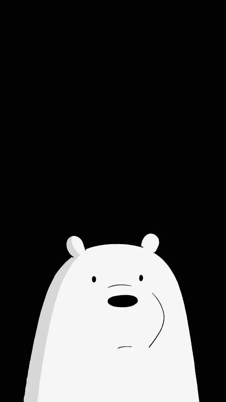 Polar bear wallpaper for iPhone background 