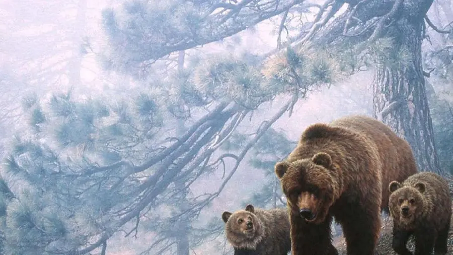Dreamy painting of a grizzly bear and its cubs in FULL HD quality