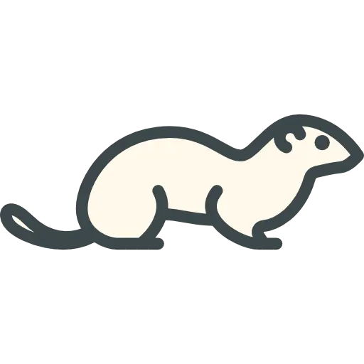 Free Download Otter Wallpaper PNG with Transparent Background