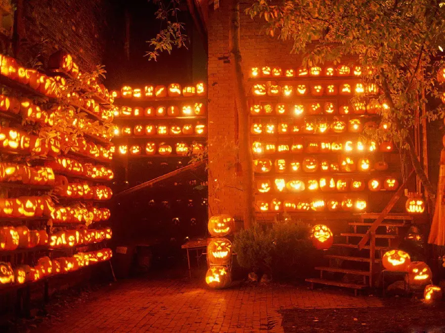 Halloween Pumpkin Racks