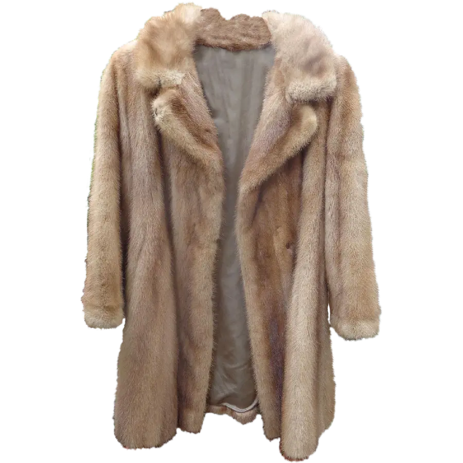 Background photo of a fox costume for social networks