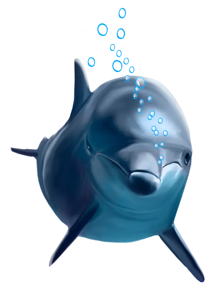 Dolphin