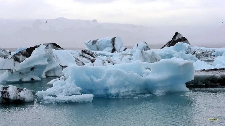 Ice Sculpture