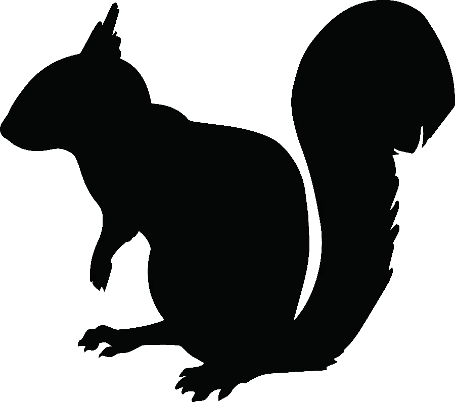 Wallpaper of a little squirrel standing in a shadow for animal friends and children