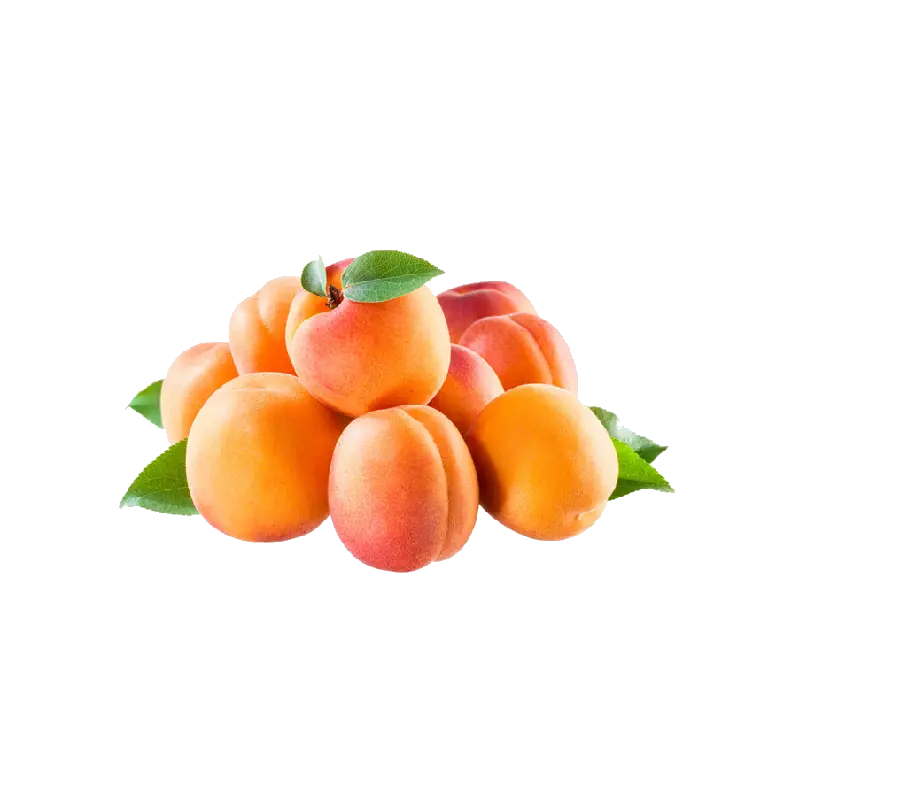 High Quality Apricot PNG Images for Use in Print Projects