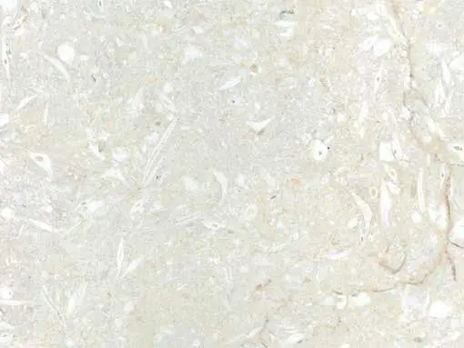 Yazd Omran Marble