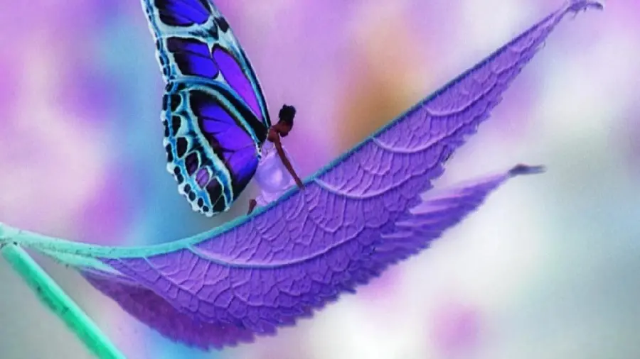 Wallpaper of a Fairy with Purple Butterfly Wings with a Folio Background