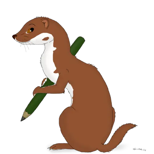 Interesting otter background image for printing on the cover of the office PNG