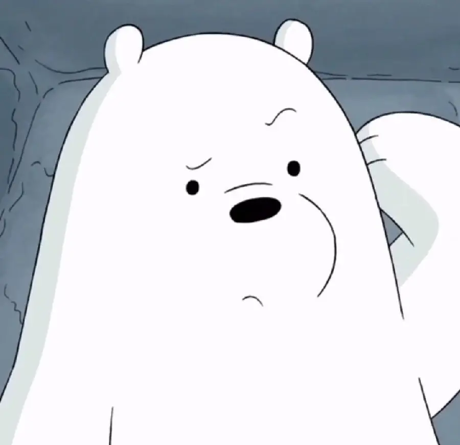Download high-quality polar bear image for Instagram profile