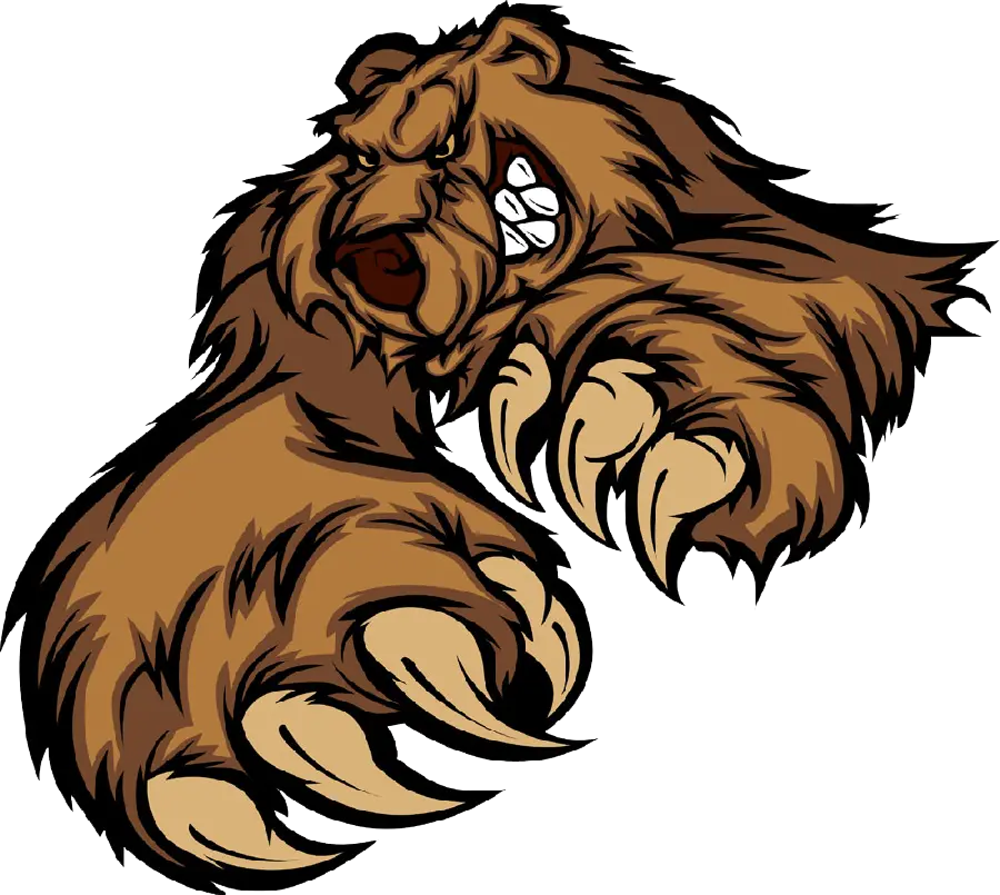 Wild Bear Cartoon Drawing Wallpaper for Logo Design