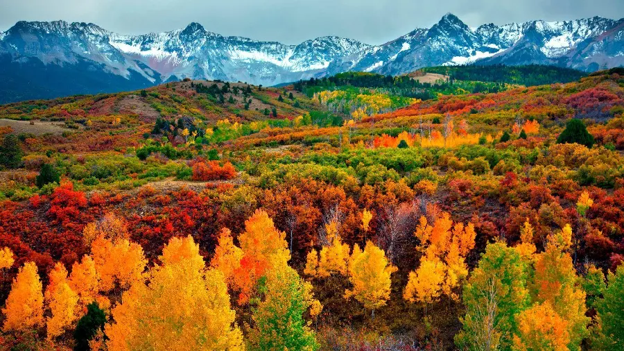 Autumn