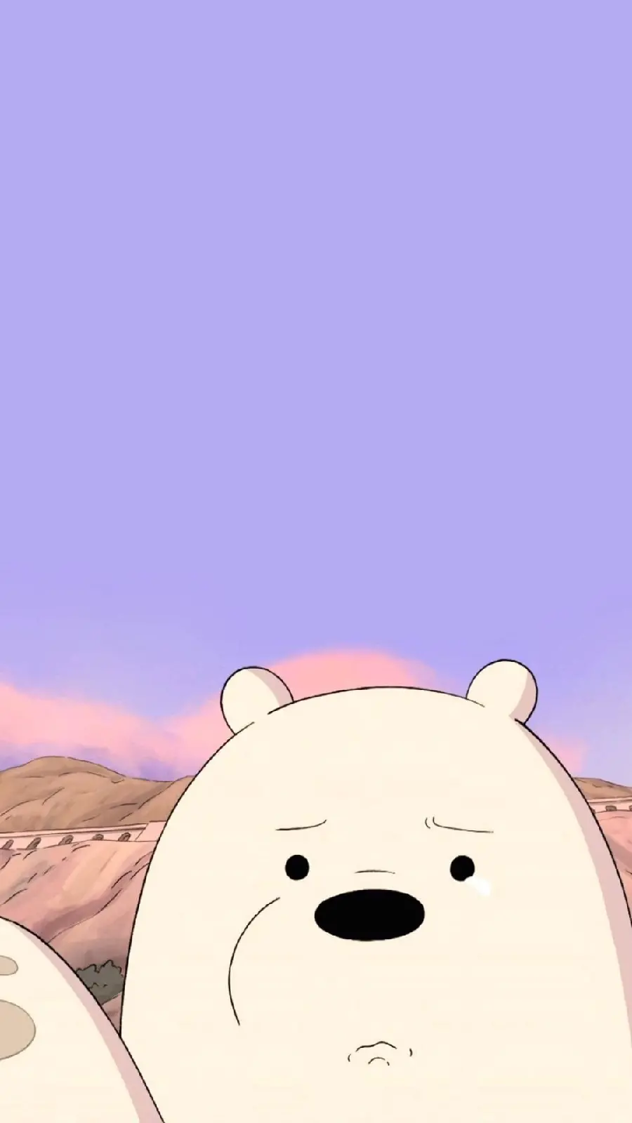 Cool and high-quality polar wallpaper for Android phone background 