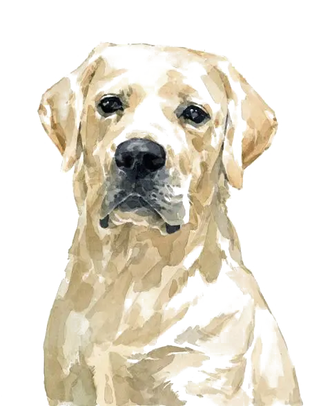 Background image for phone background with dog drawing