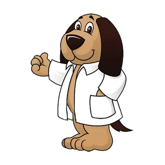Background photo of a kind nurse dog painting for printing