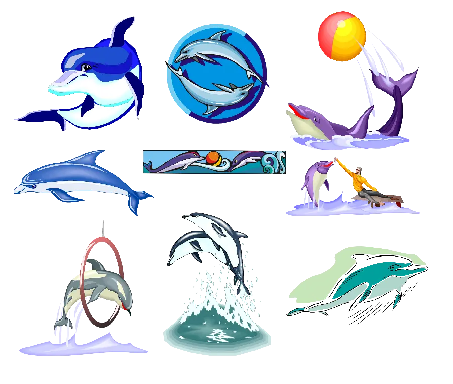 Download Dolphin PNG images for graphic projects