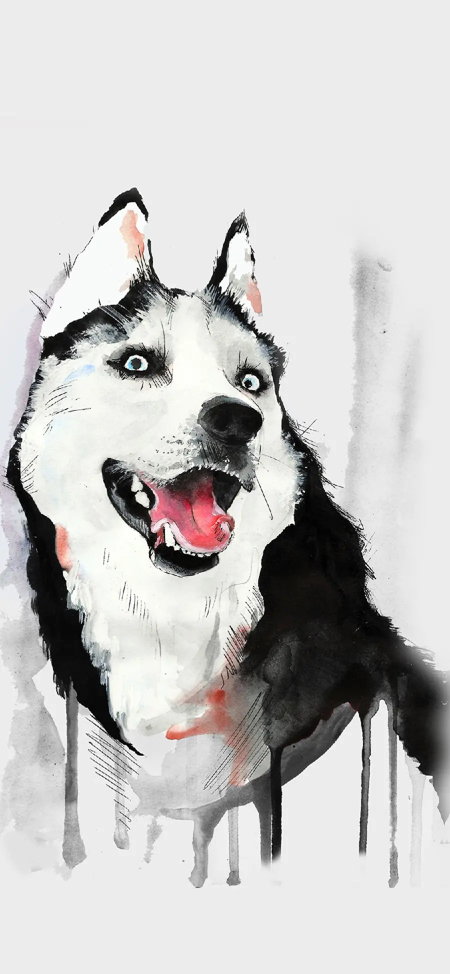 Amazing background of a husky dog ​​drawing designed for iPhone backgrounds