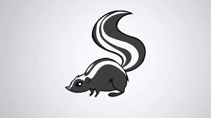 Cute Background for Laptop and Desktop of skunk