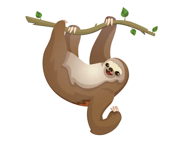 High quality sloth image for social media profiles PNG