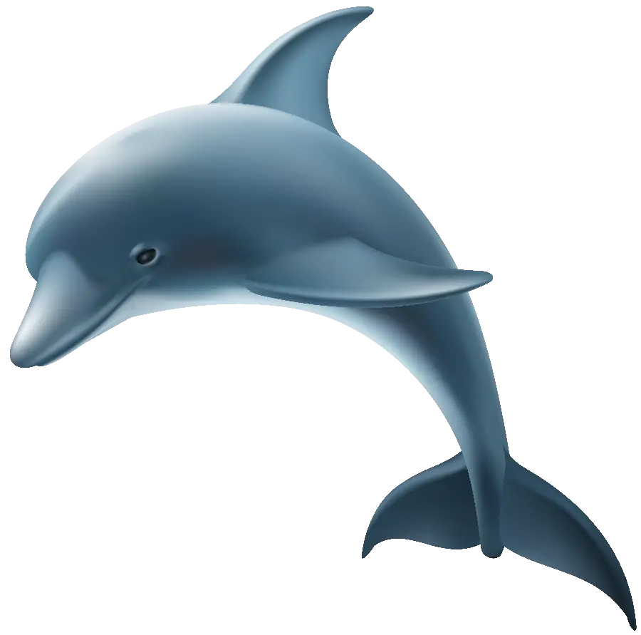 Teleported Dolphin Photo Without Background