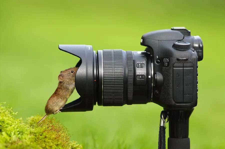 Photo of camera with simple background for profile