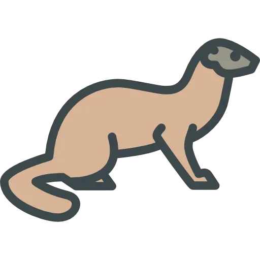 Otter Photo Without Background for Designing Sticker Pack PNG