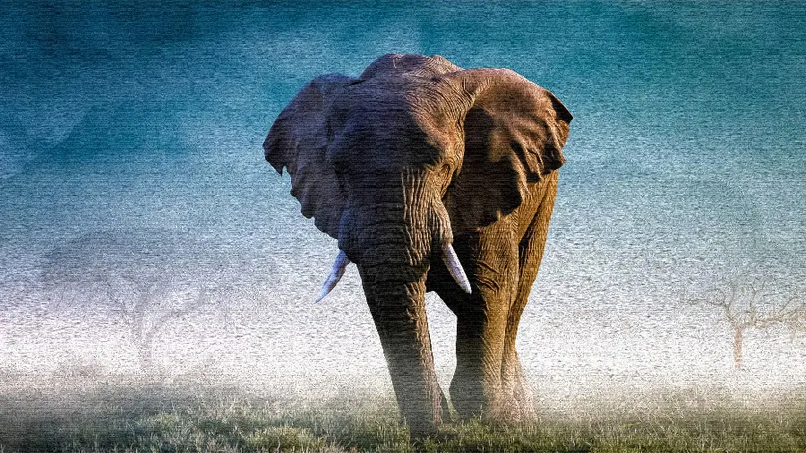 Download a picture of a large and huge elephant for animal lovers' mobile wallpapers and backgrounds