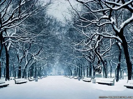 Download attractive winter photos for free
