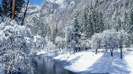Winter nature in high quality photo frames
