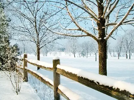 Free download of beautiful winter photos