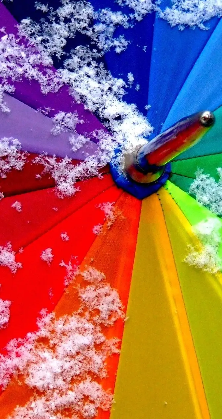 Umbrella Day Image in Ancient Artifacts of Egypt
