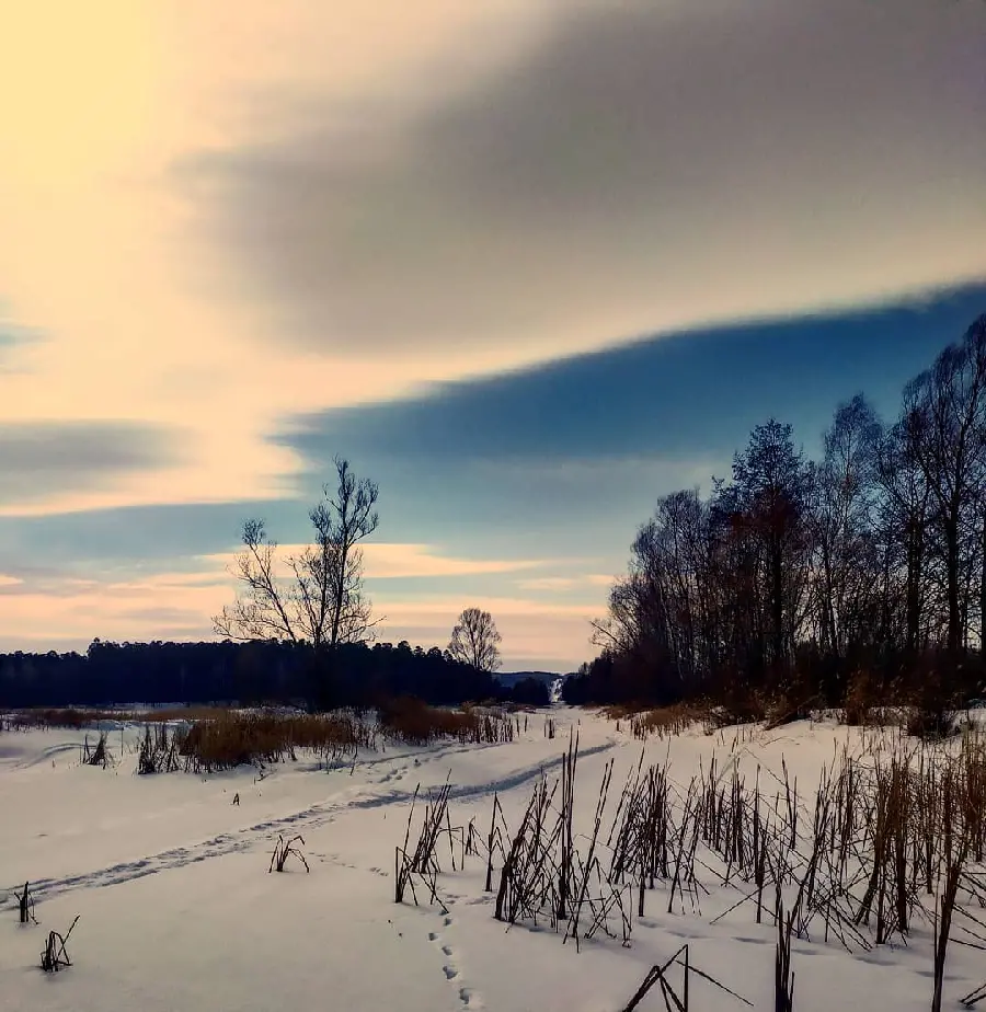 Calm Luxury Winter Background in High Quality