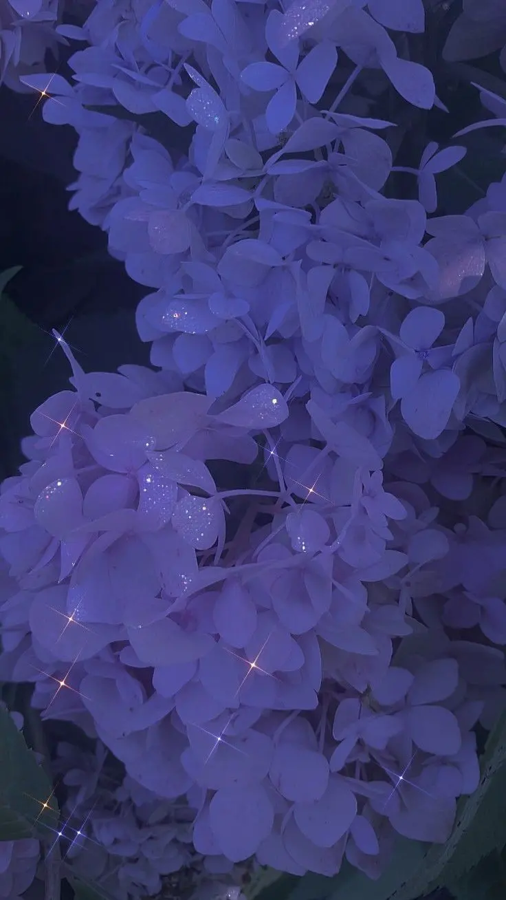 New cool purple background in best quality
