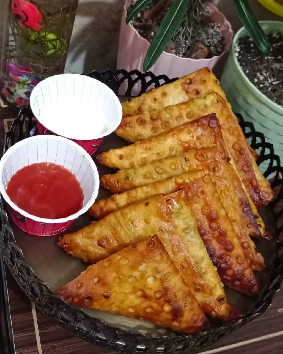 HD Quality Simple Homemade Samosa Photo