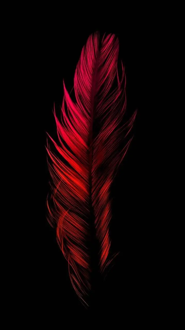 Large Red Feather Wallpaper HD Quality