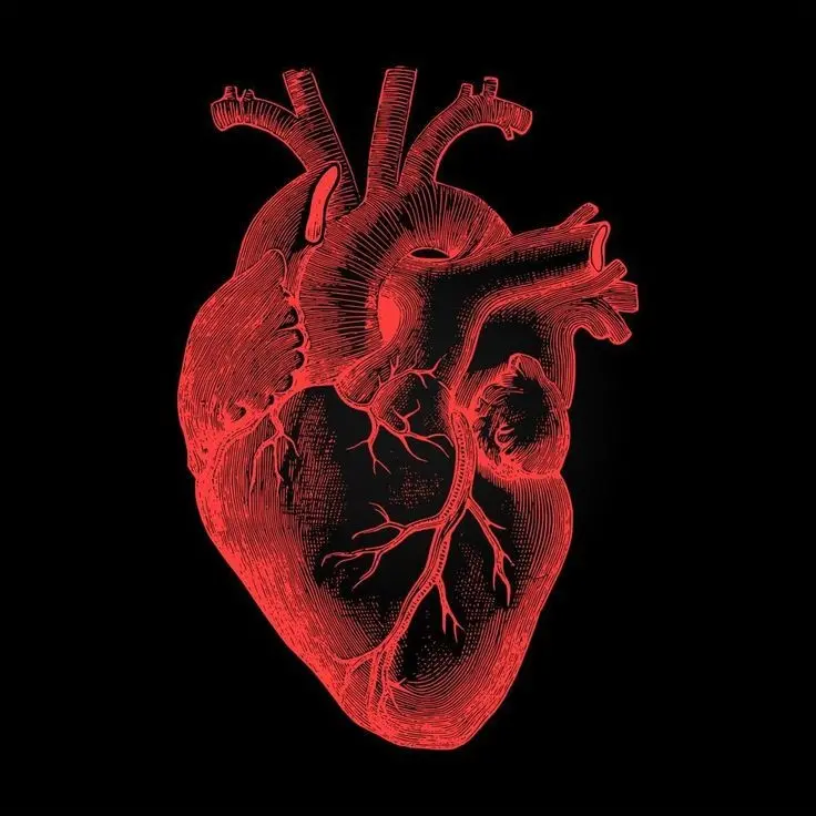 Red Heart Wallpaper with Black Background