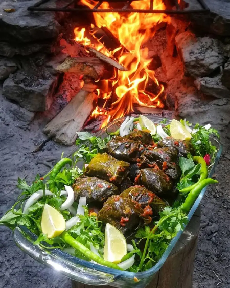 Stuffed Grape Leaves or Vine Leaves Food Photo