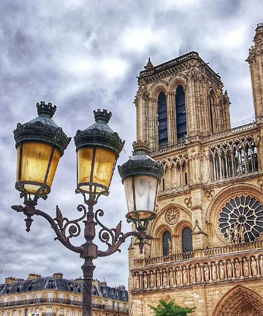 Close Up Photo of Notre Dame Cathedral Paris