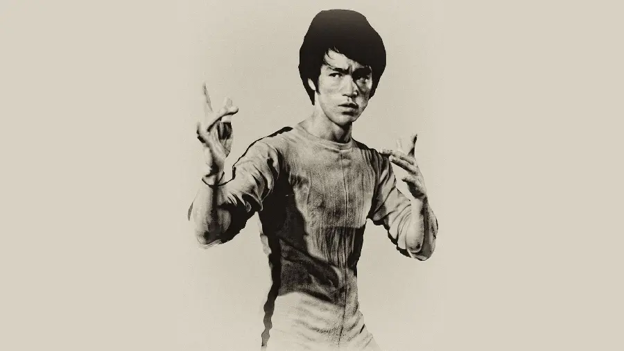 Beautiful Bruce Lee Wallpaper for Background