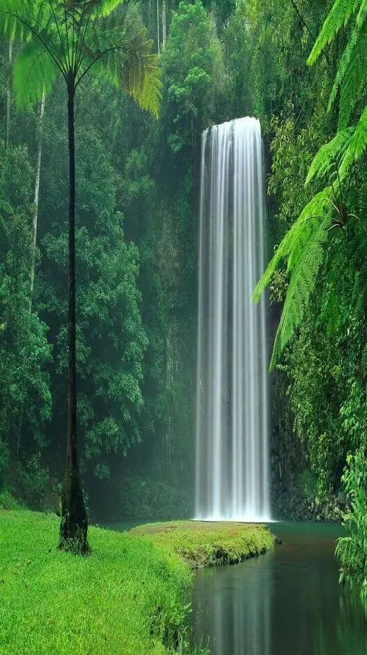 Spring Nature Wallpaper with Serene Landscapes