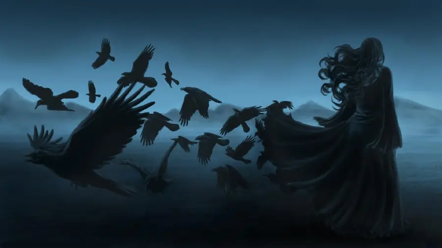 High Quality Black Crow Close-Up Photography