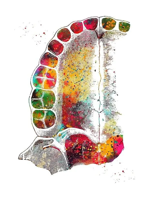 Superb Quality Tooth Image for World Toothache Day