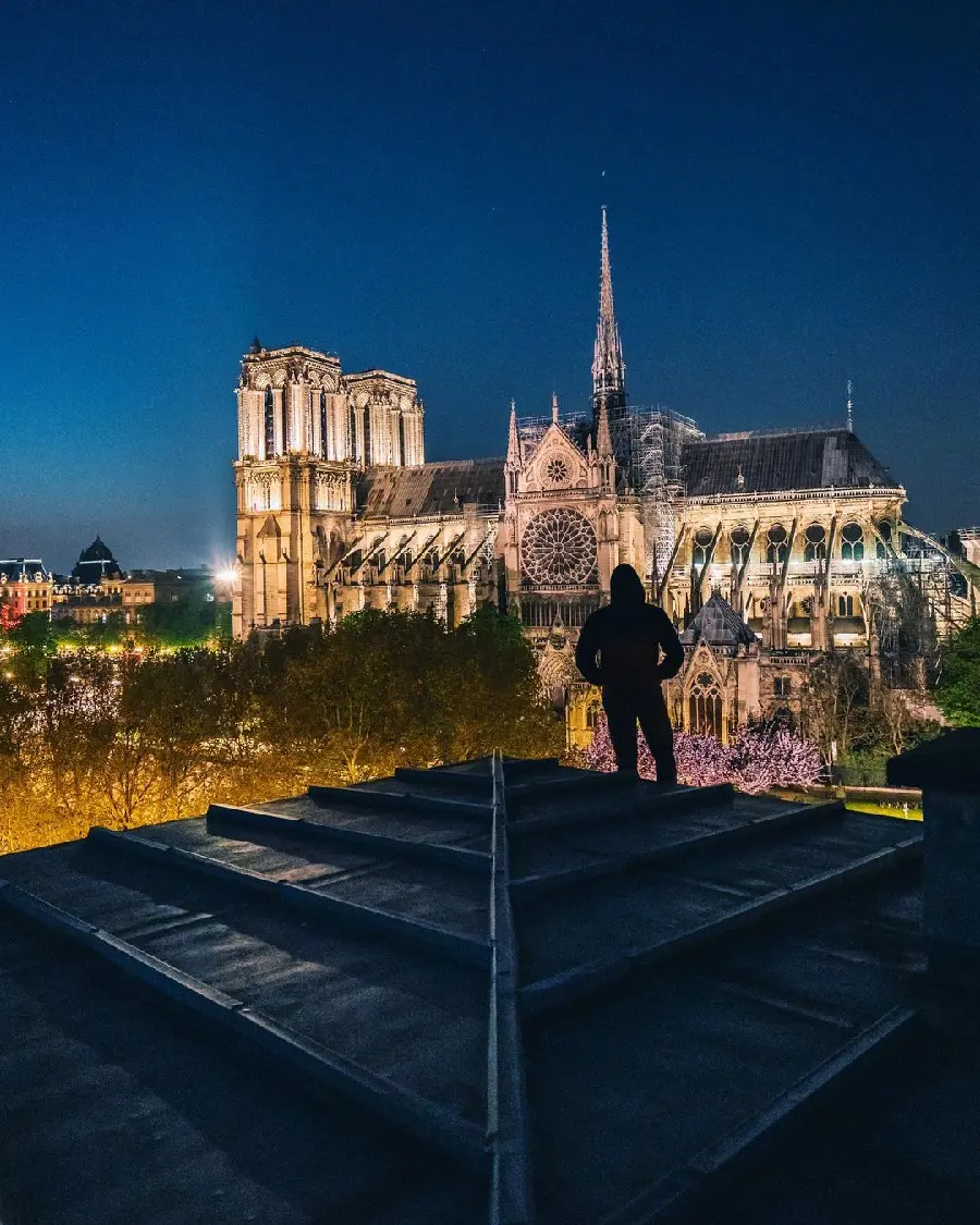 Beautiful Notre Dame Cathedral Paris at Night