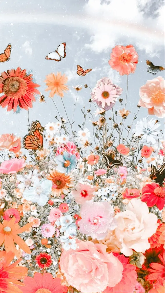 Beautiful flower and butterfly photo for story