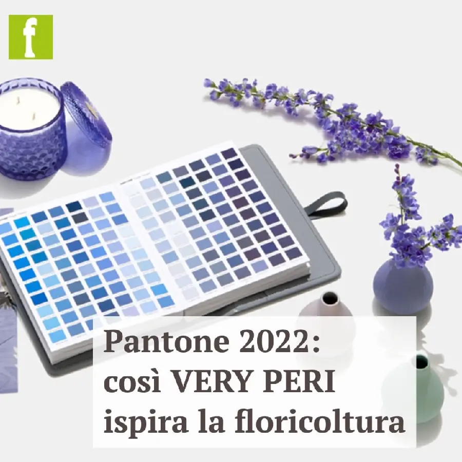 Luxury Very Peri Color Wallpaper for 2022